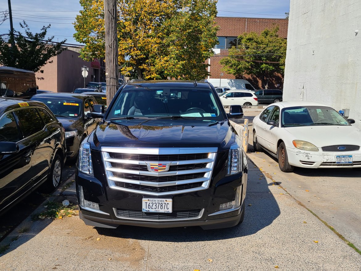 SUV for sale: 2016 Cadillac escalade esv