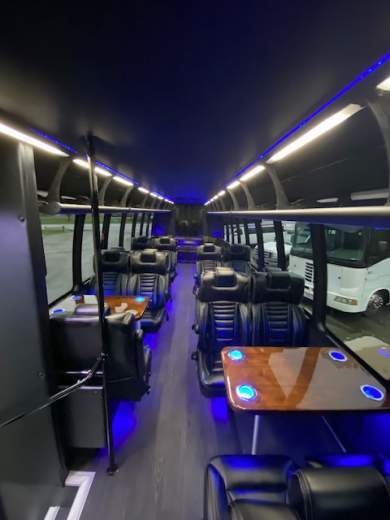2016 Ford F650 Limo Bus for Sale in Erie, Pennsylvania, US - Photo 3