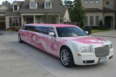 2008 Chrysler 300 Limousine for Sale in South Houston, Texas, US - Photo 3