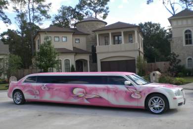 2008 Chrysler 300 Limousine for Sale in South Houston, Texas, US - Photo 4