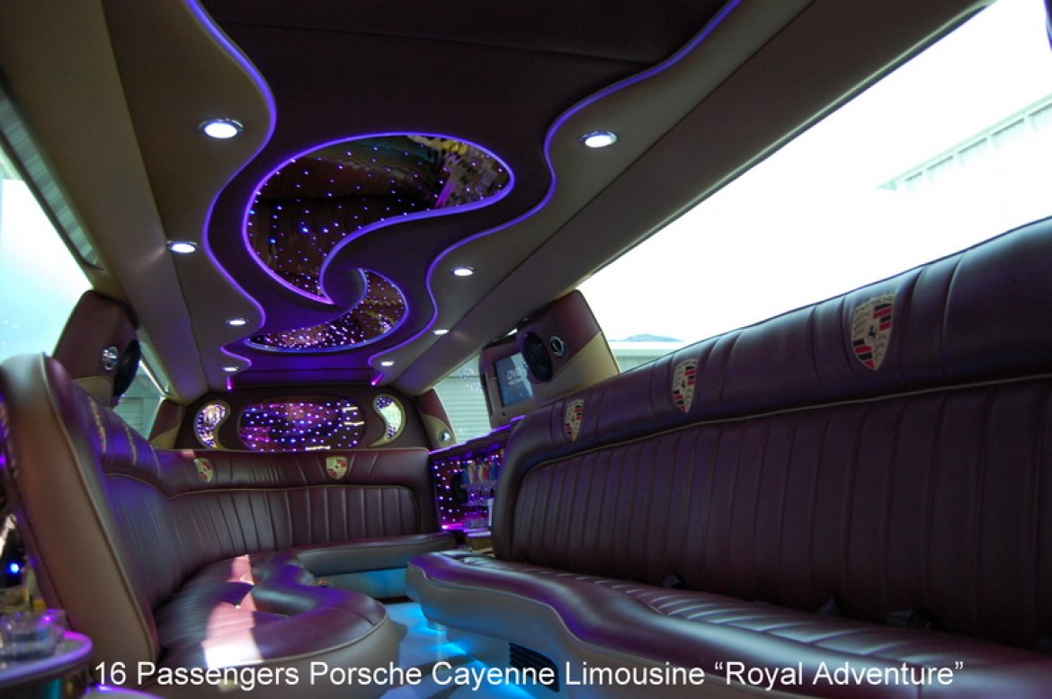 SUV Stretch for Sale in South Houston, TX - Photo 15