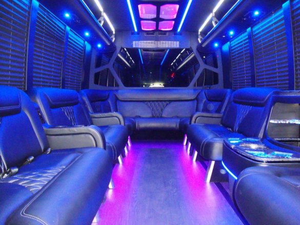 2017 Ford E-450 Super Duty Limo Bus for Sale in CARSON, CA - Main Photo