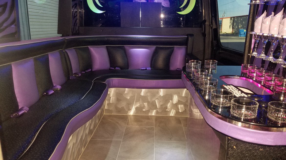 Sprinter for Sale in SOUTH HOUSTON TX, TX - Photo 11