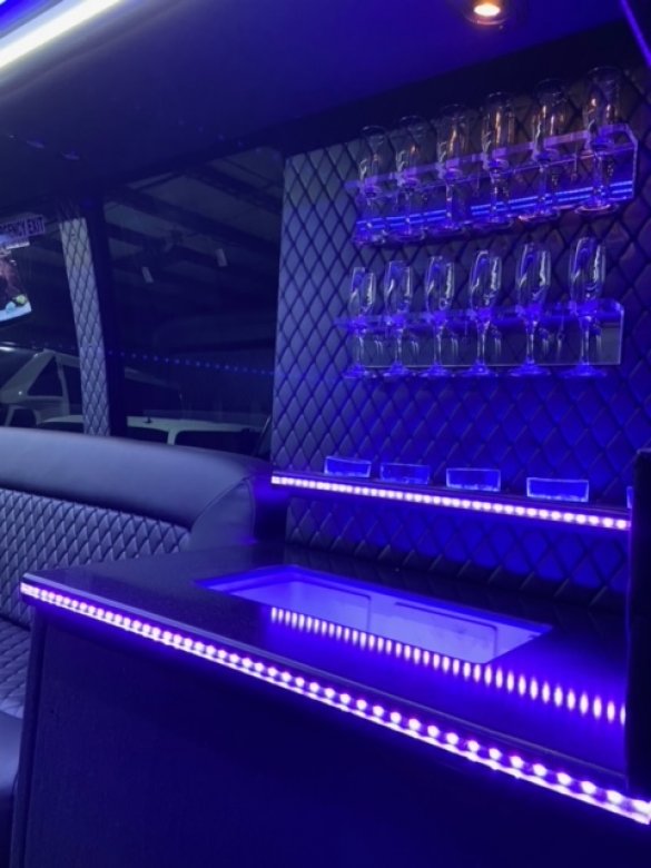 2011 Ford E450 Limo Bus Limo Bus for Sale in Erie, PA - Photo 2