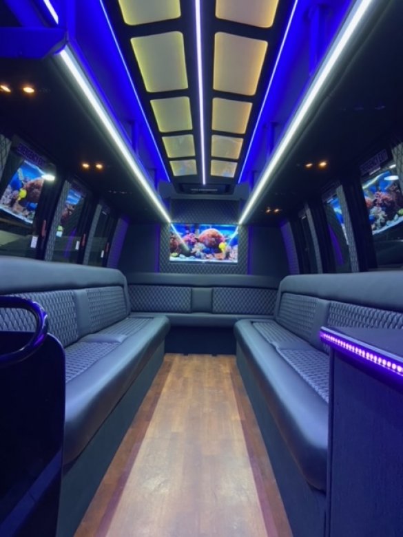 2011 Ford E450 Limo Bus Limo Bus for Sale in Erie, PA - Main Photo