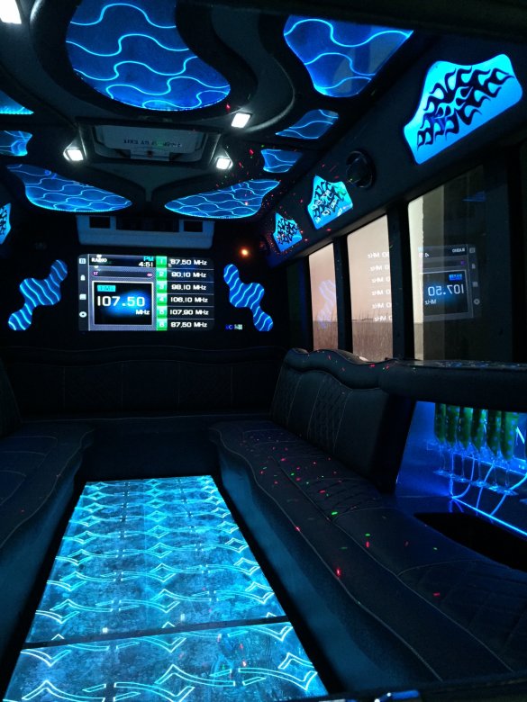 2010 Ford E450 Limo Bus for Sale in Urbandale, IA - Photo 2