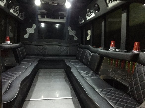 2010 Ford E450 Limo Bus for Sale in Urbandale, IA - Photo 3