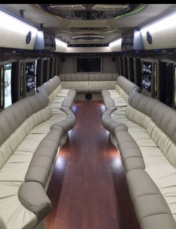 2016 Freightliner M2 Limo Bus for Sale in Lenox, MI - Photo 3