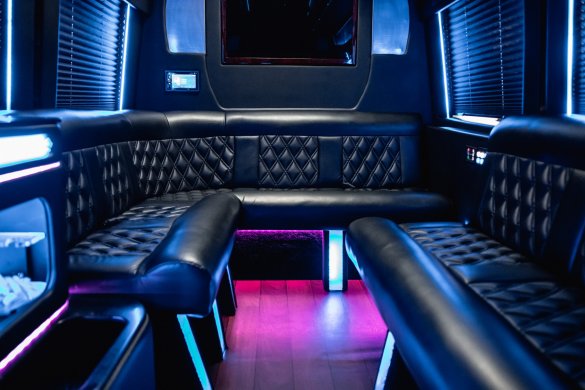 2017 Ford Transit 3500 Limousine for Sale in Carmel, IN - Photo 2