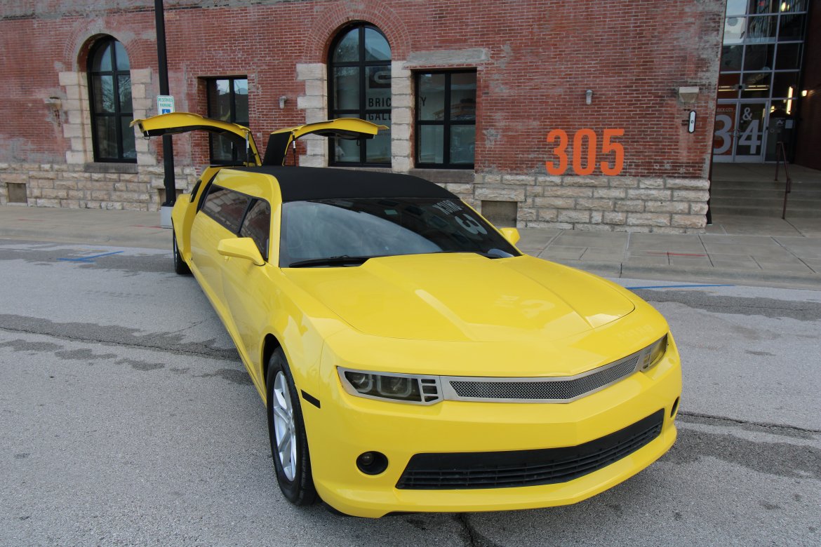 Limousine for Sale in SPRINGFIELD, MO - Photo 9