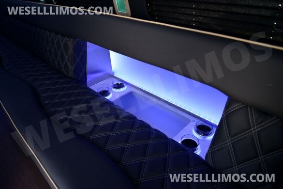 LGE Coachworks 25 Passenger E450 Limo Party Bus