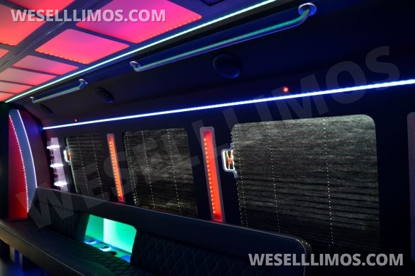 LGE Coachworks 25 Passenger E450 Limo Party Bus