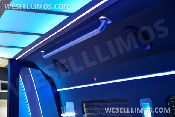 LGE Coachworks 25 Passenger E450 Limo Party Bus