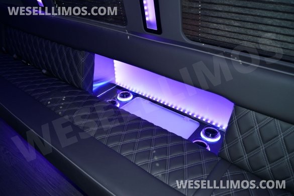 LGE Coachworks 25 Passenger E450 Limo Party Bus
