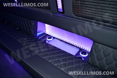 LGE Coachworks 25 Passenger E450 Limo Party Bus