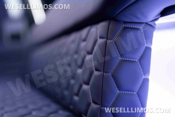 LGE Coachworks 25 Passenger E450 Limo Party Bus