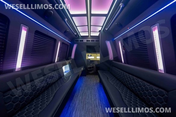 LGE Coachworks 25 Passenger E450 Limo Party Bus