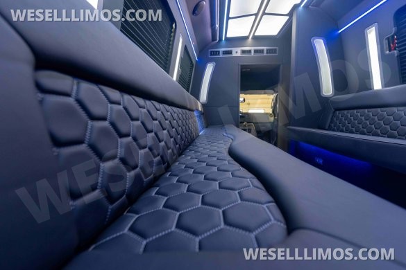 LGE Coachworks 25 Passenger E450 Limo Party Bus