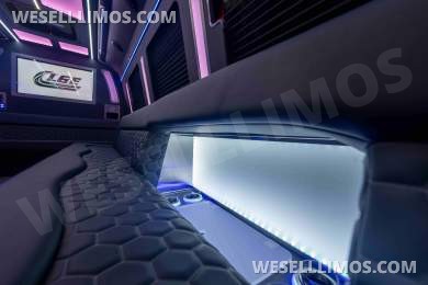 LGE Coachworks 25 Passenger E450 Limo Party Bus
