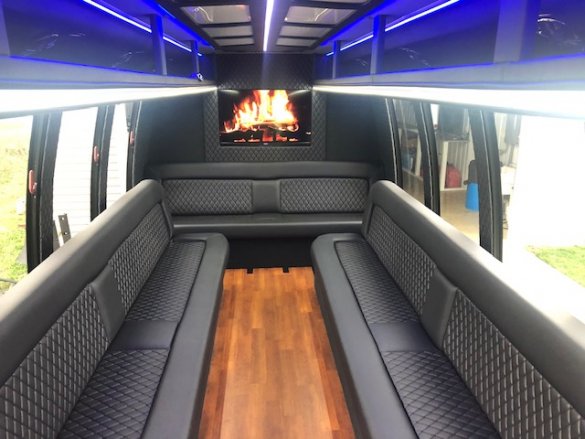 2011 Ford E-450 Limo Bus for Sale in Hamilton, MI - Photo 2