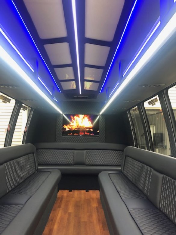 2011 Ford E-450 Limo Bus for Sale in Hamilton, MI - Photo 3