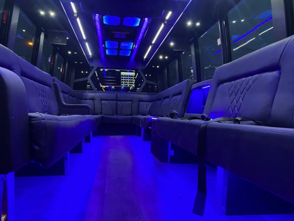 2016 Ford F-500 GM33 Limo Bus Limo Bus for Sale in Riverside, CA - Photo 3