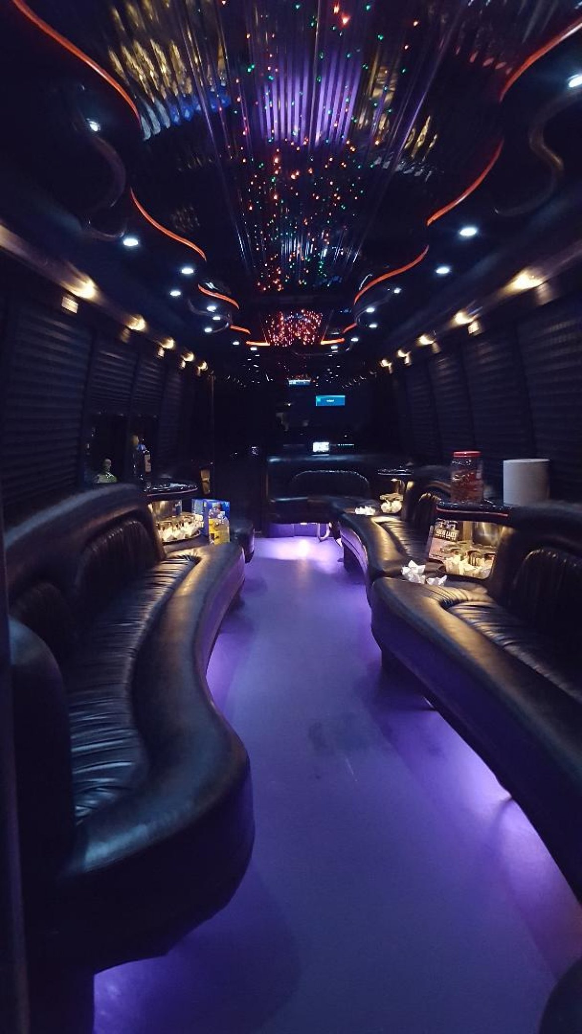 Limo Bus for Sale in RAVENNA, OH - Photo 9