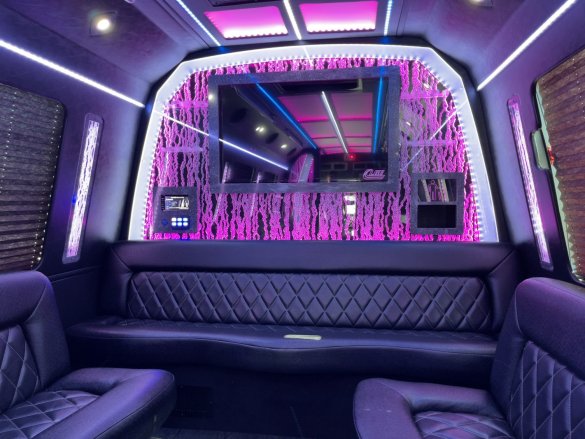 2018 Ford E-450 Limo Bus for Sale in Beaumont, CA - Photo 3