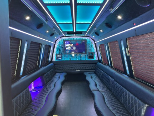 2018 Ford E-450 Limo Bus for Sale in Beaumont, CA - Main Photo