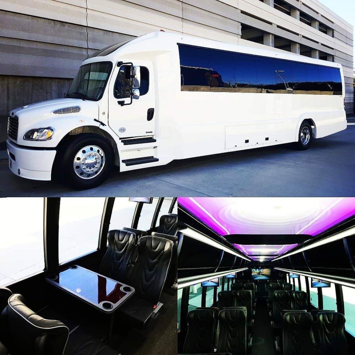 Limo Bus for sale: 2019 Freightliner Executive Coach 40&quot; by Executive Coach Builders