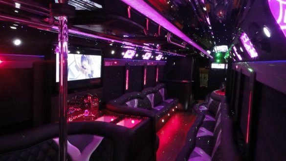 2015 CT Coachworks Motorcoach Party Limo  Freightliner Workhorse  Limo Bus