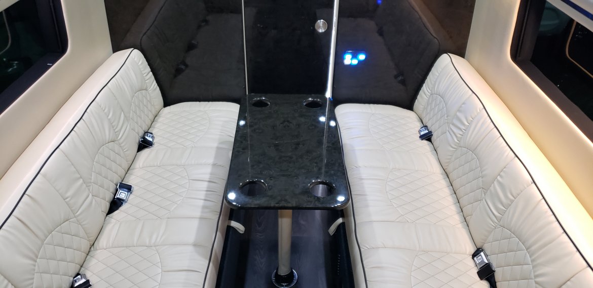 Limo Bus for Sale in Houston, TX - Photo 32