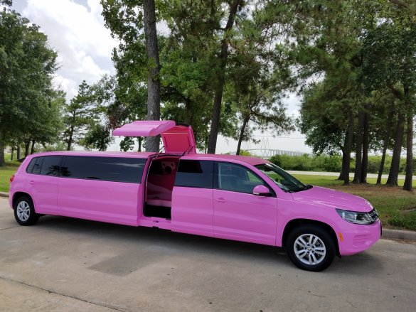 2016 Volkswagen Tiguan Limousine for Sale in South Houston, TX - Photo 2