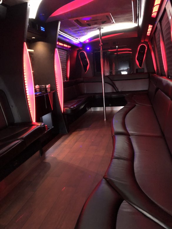 2014 Ford F550 Limo Bus for Sale in Staten Island, NY - Photo 3