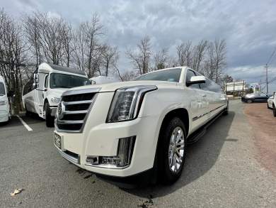 2015 Cadillac Escalade 200" SUV Stretch for Sale in Morganville, New Jersey, US - Photo 4