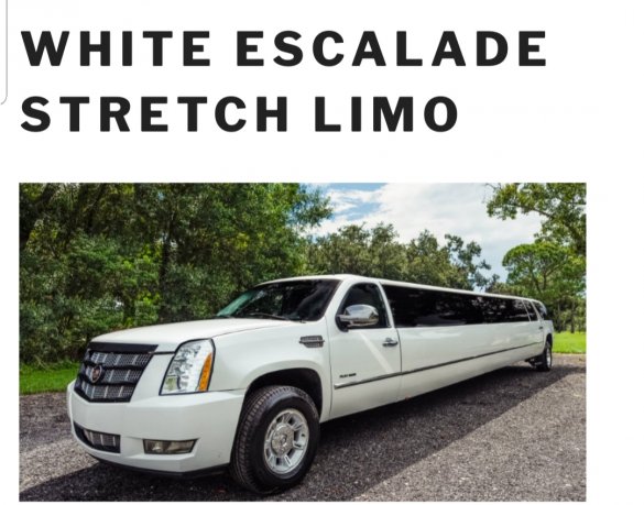 2007 Cadillac Escalade Limousine for Sale in LAKELAND, FL - Photo 2