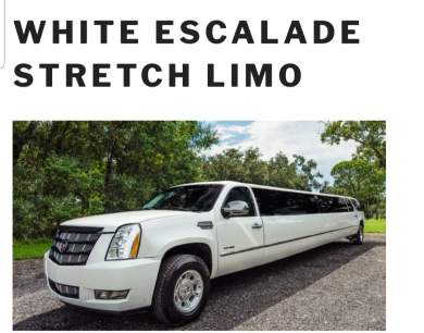 2007 Cadillac Escalade Limousine for Sale in LAKELAND, FL - Photo 2