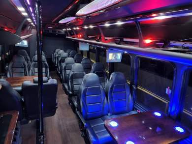2015 Ford E450 Executive Shuttle for Sale in Erie, Pennsylvania, US - Photo 4