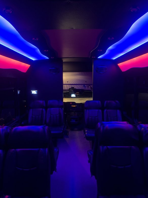 2013 Ford E-350 Limo Bus for Sale in Harrison Twp, MI - Photo 2