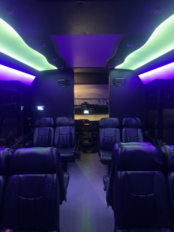 2013 Ford E-350 Limo Bus for Sale in Harrison Twp, MI - Photo 3