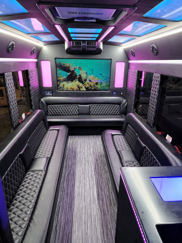 2017 Ford Transit Limo Sprinter for Sale in Erie, PA - Main Photo