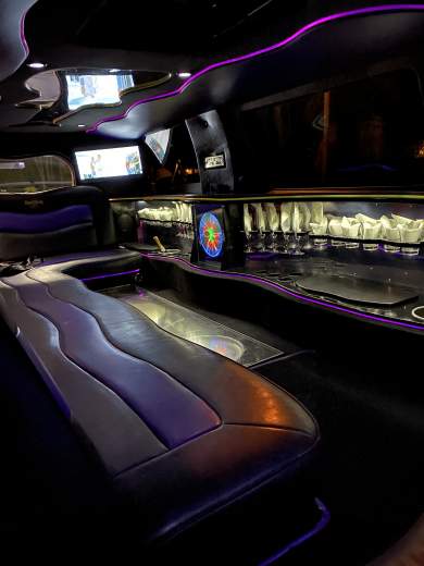 2004 Ford Excursion Limousine for Sale in Naples, Florida, US - Photo 4
