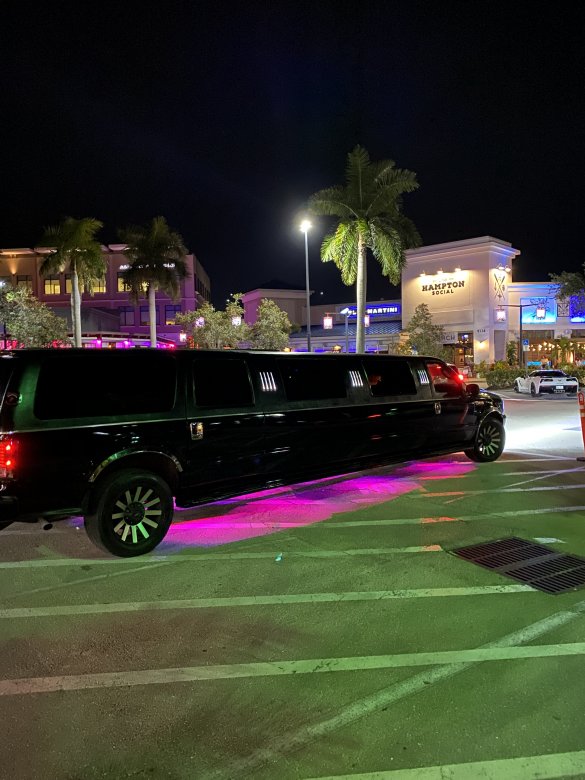 2004 Ford Excursion Limousine for Sale in Naples, FL - Photo 2