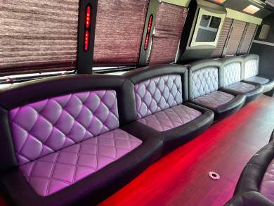 2014 Ford F550 Limo Bus for Sale in Denver, Colorado, US - Photo 3