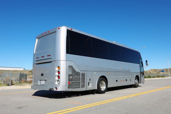 2013 Temsa TS30 Limo Bus for Sale in Santa Clarita, AL - Photo 3