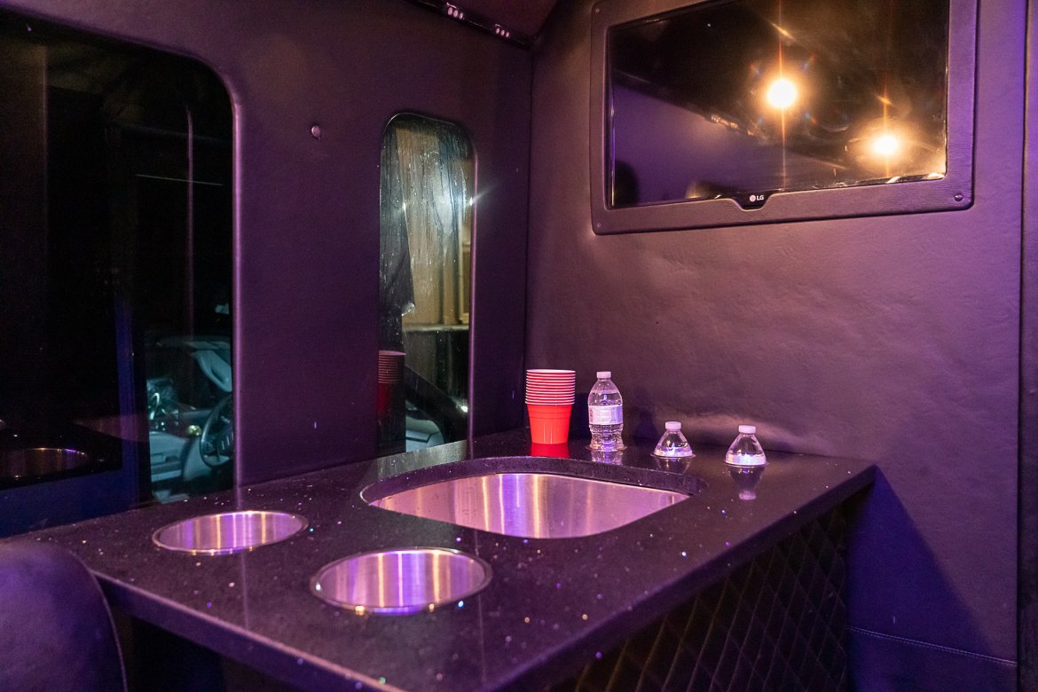 Limo Bus for Sale in Tampa, FL - Photo 10