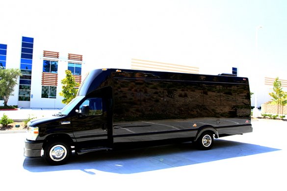 2017 Ford E-450 Limo Bus for Sale in Oaklyn, NJ - Photo 2