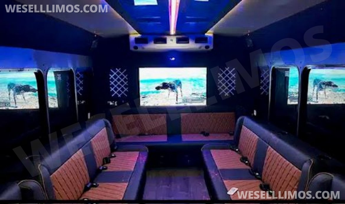 Photo of Limo Bus for sale: 2017 Ford Party Bus 25&quot; by Tiffany