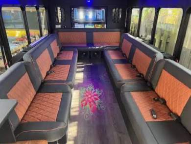 2017  Ford E450 Party Bus Limo Bus 22 pass Gas/Propane