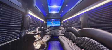 2022 Mercedes-Benz Sprinter 3500 170 ht limousine Sprinter for Sale in Springfield, MO - Photo 2